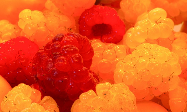 衣无疑成功 衣无疑成功