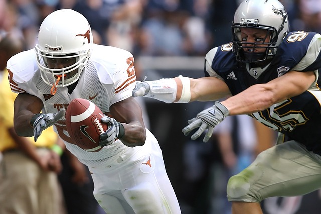 的胜利的 的胜利的