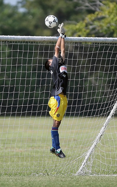 这样一个感 这样一个感