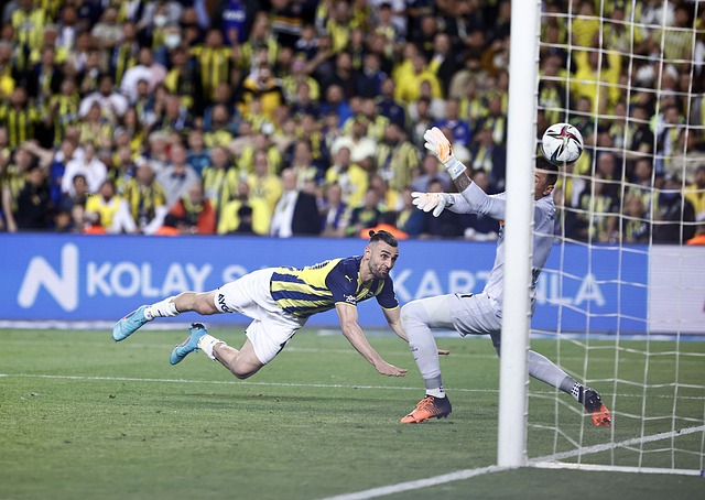 出色表现 出色表现