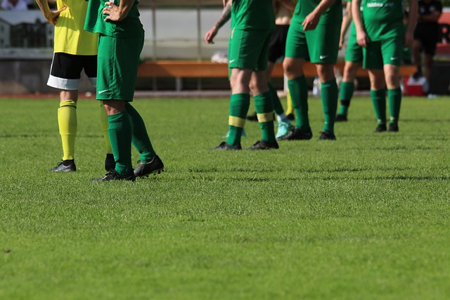 拥有无可比 拥有无可比