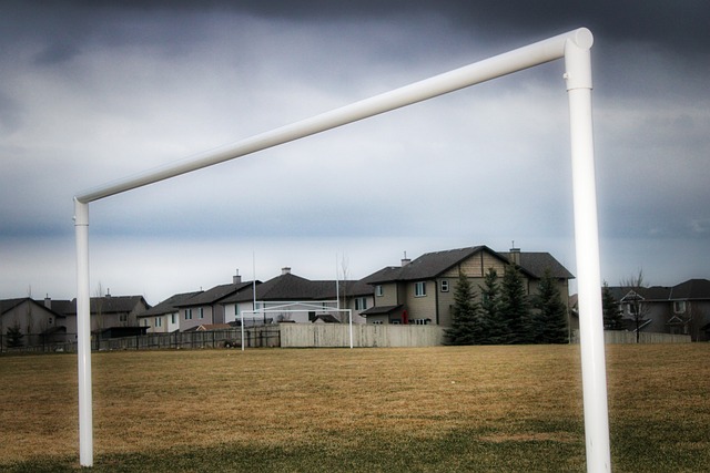 独行侠与篮 独行侠与篮