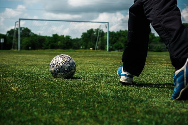 整体实力有 整体实力有