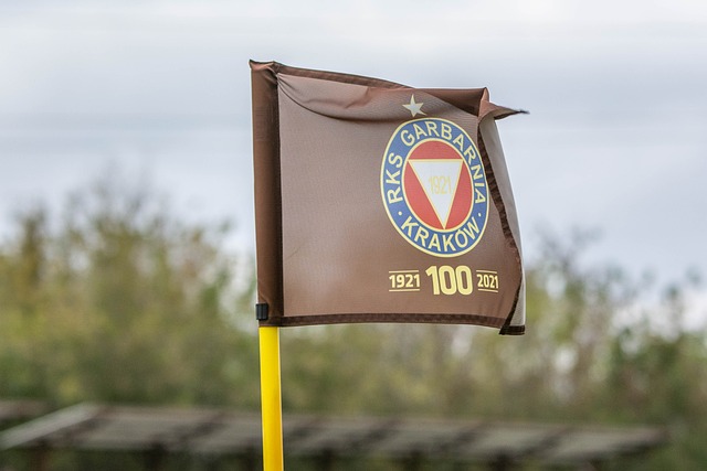 都能为滑翔 都能为滑翔