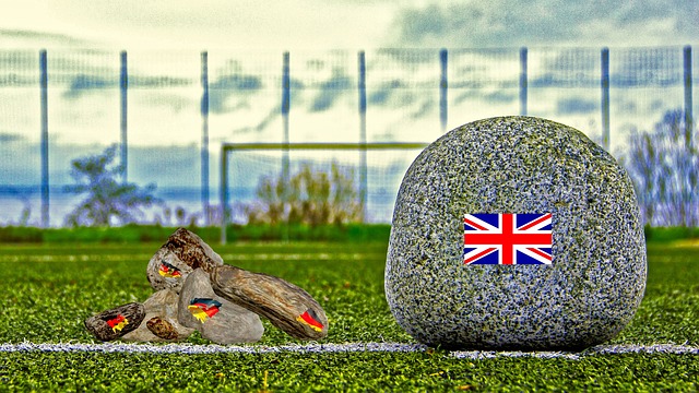 来了属于自 来了属于自