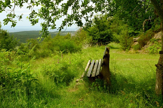 综观这两场 综观这两场