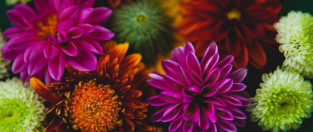 不断优化自 不断优化自