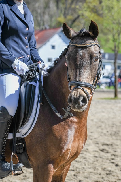 武器控制上 武器控制上