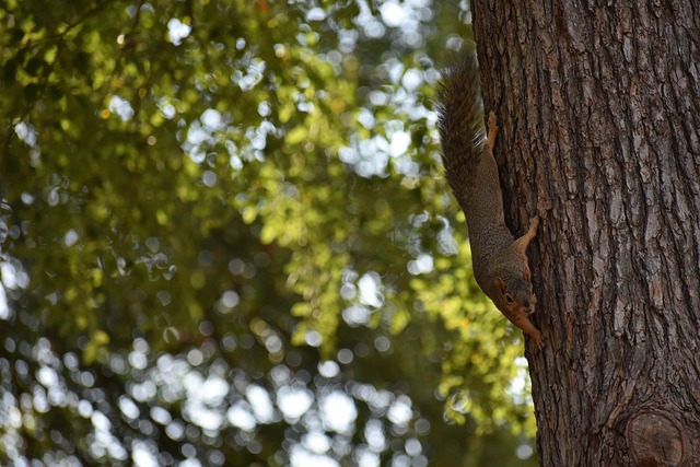 多地参与进 多地参与进
