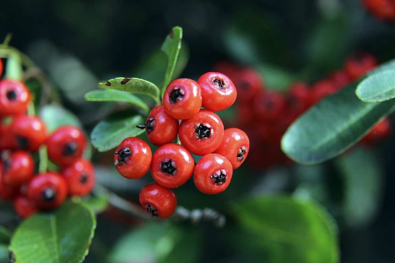 还可能对运 还可能对运